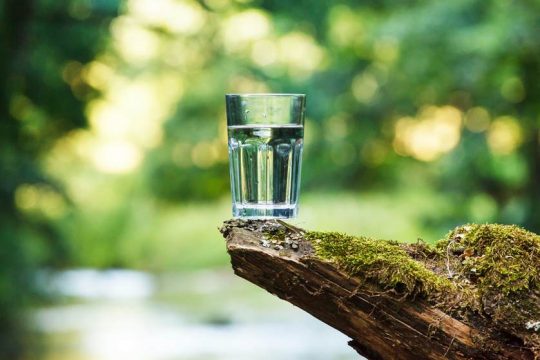 Sinic ve vodě se už nezbavíme. A&nbsp;můžeme si za to sami, říká hydrobiolog Jindřich Duras