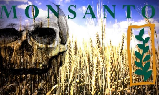Hodnota akcií Bayer padá po rozhodnutí soudu ohledně společnosti Monsanto. Analytik odhaduje, že&nbsp;to firmu může stát až 800 miliard dolarů
