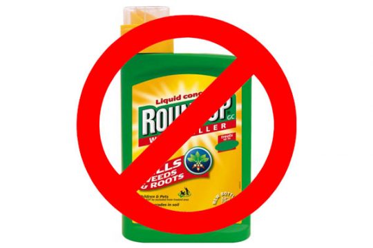 Herbicid Roundup je karcinogenní, rozhodl soud v&nbsp;USA. Hodnota německého Bayeru se propadla o&nbsp;více než 200 miliard