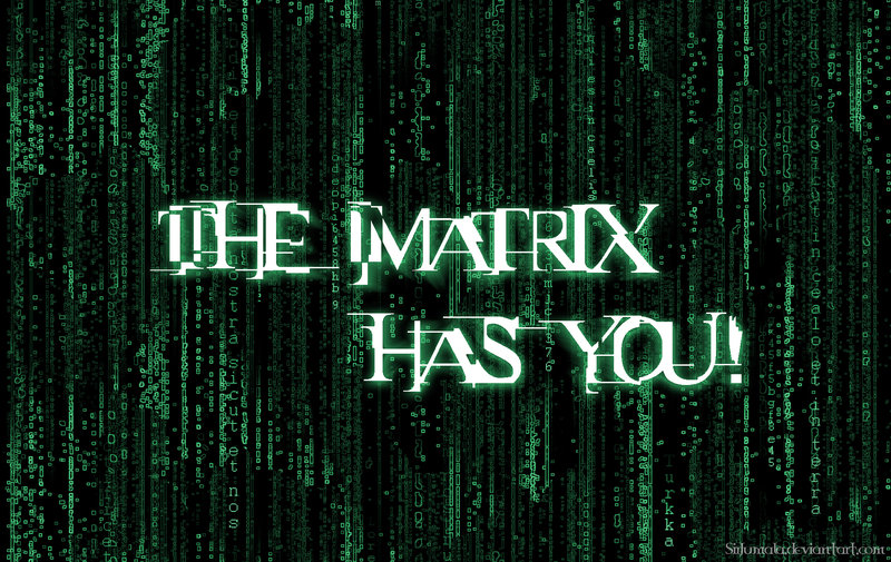 matrix-has-you