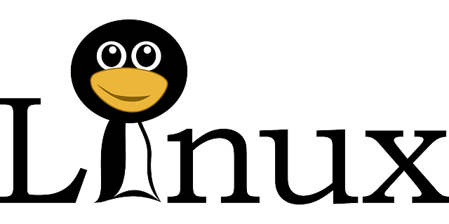 Ruská armáda nahrazuje Windows distribucí Astra Linux