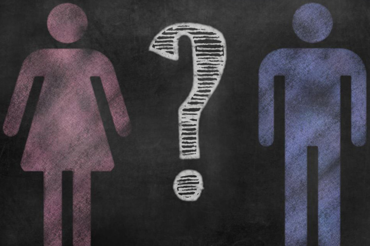 Film „Co je žena?“ se zabývá jednoduchou otázkou, na kterou transgender kult odmítá odpovědět